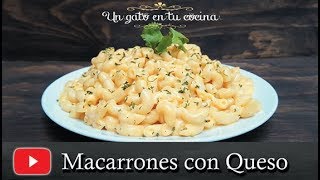 Macarrones con Queso  Receta Fácil y Económica [upl. by Eulaliah]