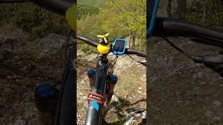 Canalone  Tornimparte mtb enduro rockgarden [upl. by Eecal]