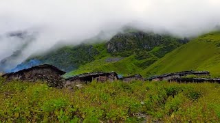 the pastoral life  Dhorpatan Hunting Reserve  himalayan life nepal [upl. by Tillfourd791]