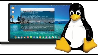 Linux Command Line [upl. by Arodasi]