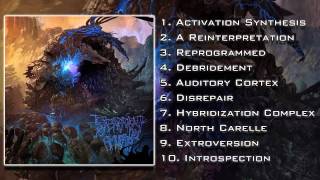 Sensory Amusia  Disrepair FULL ALBUM 2013HD [upl. by Aneehsit857]