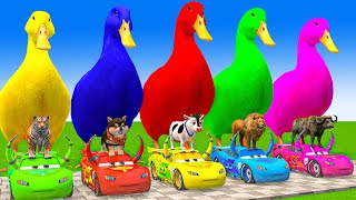 5 Giant Duck CartoonCowElephantGiraffeTigerLion Paint Wild Animals Crossing Fountain Animation [upl. by Josepha834]