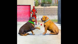 GTA V FRANKLIN DOG CHOP PROPOSED DEADPOOL DOG shorts  Maheshwar Gamerz [upl. by Yrian]