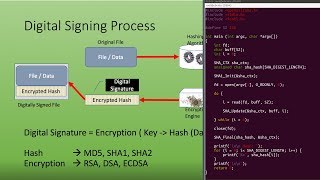 Hashing Encryption Decryption Digital Signature Signing Verification Openssl Pkcs7 [upl. by Patin]