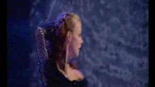 Riverdance  Live From New York City 1996 [upl. by Yenatirb]