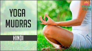 Yoga Mudras in Hindi  Top 5 Mudra Postures and Benefits  Yoga for life [upl. by Vina544]