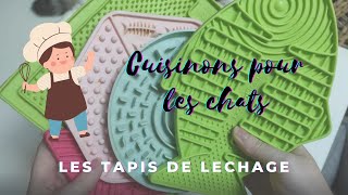 DES TAPIS DE LECHAGE POUR MES CHATS   Enrichissement alimentaire [upl. by Nations905]