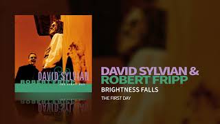 David Sylvian amp Robert Fripp  Brightness Falls The First Day [upl. by Lowson821]