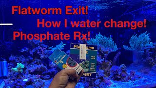 How I Flat Worm Exit Phosphate Rx and Water Change my 90g Reef Tank [upl. by Eninnaj]