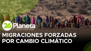 Migraciones forzadas por cambio climático [upl. by Haimes429]