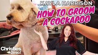 Kayla Harrison How to Groom a Cockapoo [upl. by Lynelle]