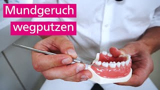 Mundgeruch loswerden  befolge diese 4 Putztechniken [upl. by Ikilisav]