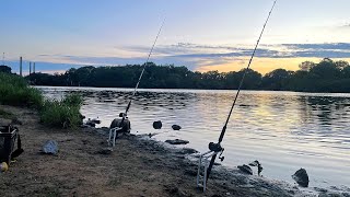 Fishing SPILLWAY and POWER PLANT for Catfish TARGETING FLATHEAD [upl. by Chainey]