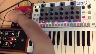 Timbre Wolf Unison Stacking amp Analog wave Sequencing [upl. by Lesh706]