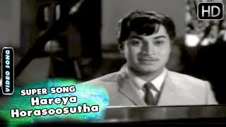 Hareya Horasoosutha  Best Classic Song  Takka Bitre Sikka  Kannada Movie  P B Srinivas  Srinath [upl. by Ellord918]