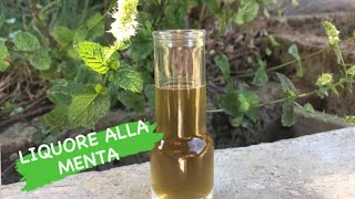 LIQUORE ALLA MENTA fatto in casa digestivo naturale buonissimo [upl. by Montano415]