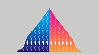 What is a population pyramid How do we build one [upl. by Eanore]