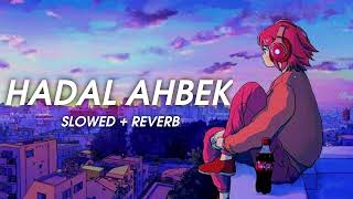 Hadal Ahbek  Issam Alnajjar Slowed amp Reverb [upl. by Esirrehc]