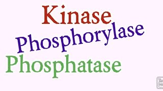 Kinase  Phosphorylase  Phosphatase  Biochemistry [upl. by Algie]