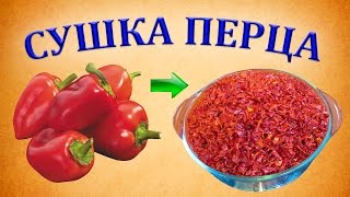 Сушка сладкого перца  Сушеный болгарский перец [upl. by Bonnee79]