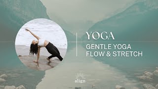 Gentle Yoga Flow amp Stretch [upl. by Eivad432]