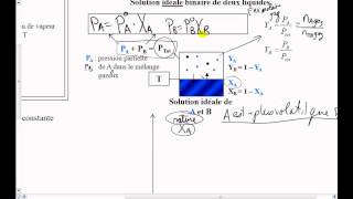 14Loi de Raoult [upl. by Nylyaj]