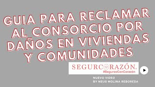 DANA EN VALENCIA ¿CÓMO RECLAMAR AYUDAS E INDEMNIZACIONES POR DAÑOS EN VIVIENDAS Y COMUNIDADES [upl. by Natale]