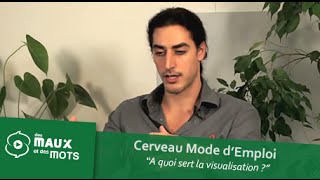 CONTROLER SON CERVEAU AVEC LA VISUALISATION [upl. by Isidore]