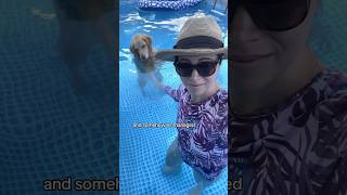 Oatmeal wants my ball 😭 PoolTime SwimmingDog goldenretriever [upl. by Adnawyek]