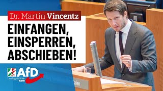 Einfangen einsperren abschieben – Dr Martin Vincentz AfD [upl. by Libna]