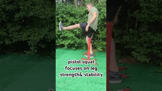 pistolsquat squatmobility stability legworkout fullbodyworkout workoutanywhere fitness [upl. by Burris]