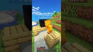 TooBad wird TikToker minecraft gaming lustig [upl. by Venice]