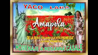 YACO LARA  AMAPOLA quotTema central de la serie Vita promessaquot Homenaje a Rossana Casale 2024 [upl. by Theresita330]