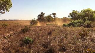 Clearing cerrado in Brazil [upl. by Selimah374]