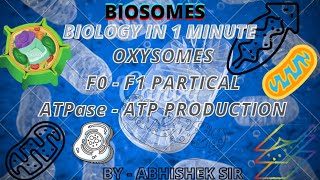 Oxysomes  F0 amp F1 particles  Mitochondria  Cristae  ATPase  Biology in 1 Minute Biosomes ATP [upl. by Brenden36]