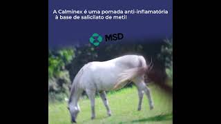 Calminex MSD  Central Veterinária [upl. by Tish]