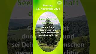 20241118 Seelenbotschaf  Tagesmantra  Fichte treefluencer körperseelegeist merikinbynature [upl. by Gula]