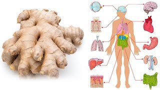 Iss Ingwer jeden Tag einen Monat lang und das wird mit deinem Körper passieren  Gesundheitsblatt [upl. by Melda]