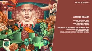 Akala  Another Reason   lyric video [upl. by Netsyrk]