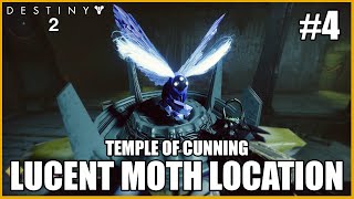 Lucent Moth Location  Temple Of Cunning  Destiny 2 [upl. by Haram]