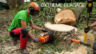 ⚠😱EXTREME ÉLAGAGE  double NACELLES amp une belle équipe au TRAVAIL  🌳💪 [upl. by Ellennaj]