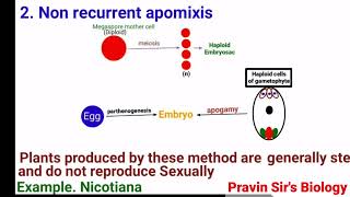 Apomixis  Recurrent apomixis  Non recurrent apomixis  Adventive embryony  Pravin Sirs Biology [upl. by Eecal640]