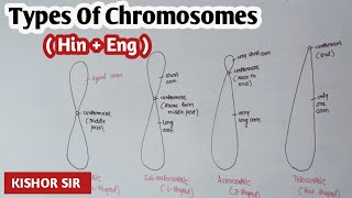 Types of chromosomes based on position of centromere  Kishor Zagare sir [upl. by Wilda]