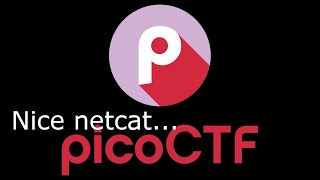 PicoCTF Nice netcat [upl. by Storfer]