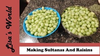 How To Make Sultanas  Raisins From White Grapes with Lisas World [upl. by Habeh]