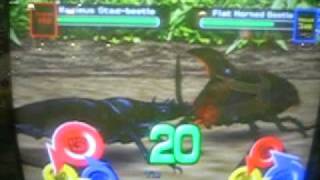 Mushiking  2006  Maximus Stagbeetle full fight 1 [upl. by Cooperman]