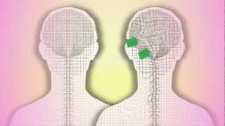 CranioSacral Therapy What is it How does it work by Tad Wanveer [upl. by Ransell35]