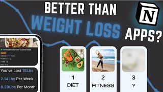 Lose Weight Faster Using Notion  Tracker Walkthrough [upl. by Naimerej]