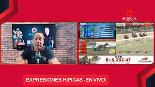 PRONOSTICOS CARRERAS AMERICANAS EN VIVO EXPRESIONES HIPICAS [upl. by Evelina]