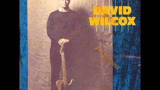 David Wilcox Freeze to Me [upl. by Revlis]